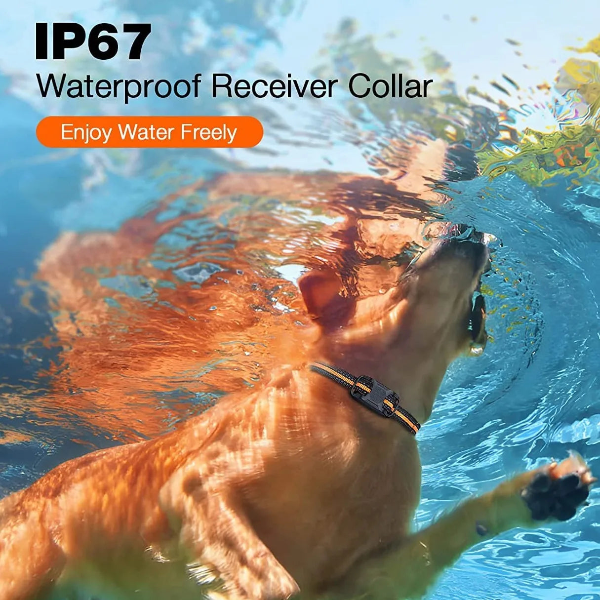 1000M Waterproof Remote Dog Training Collar – Shock & Vibration for 2 Dogs