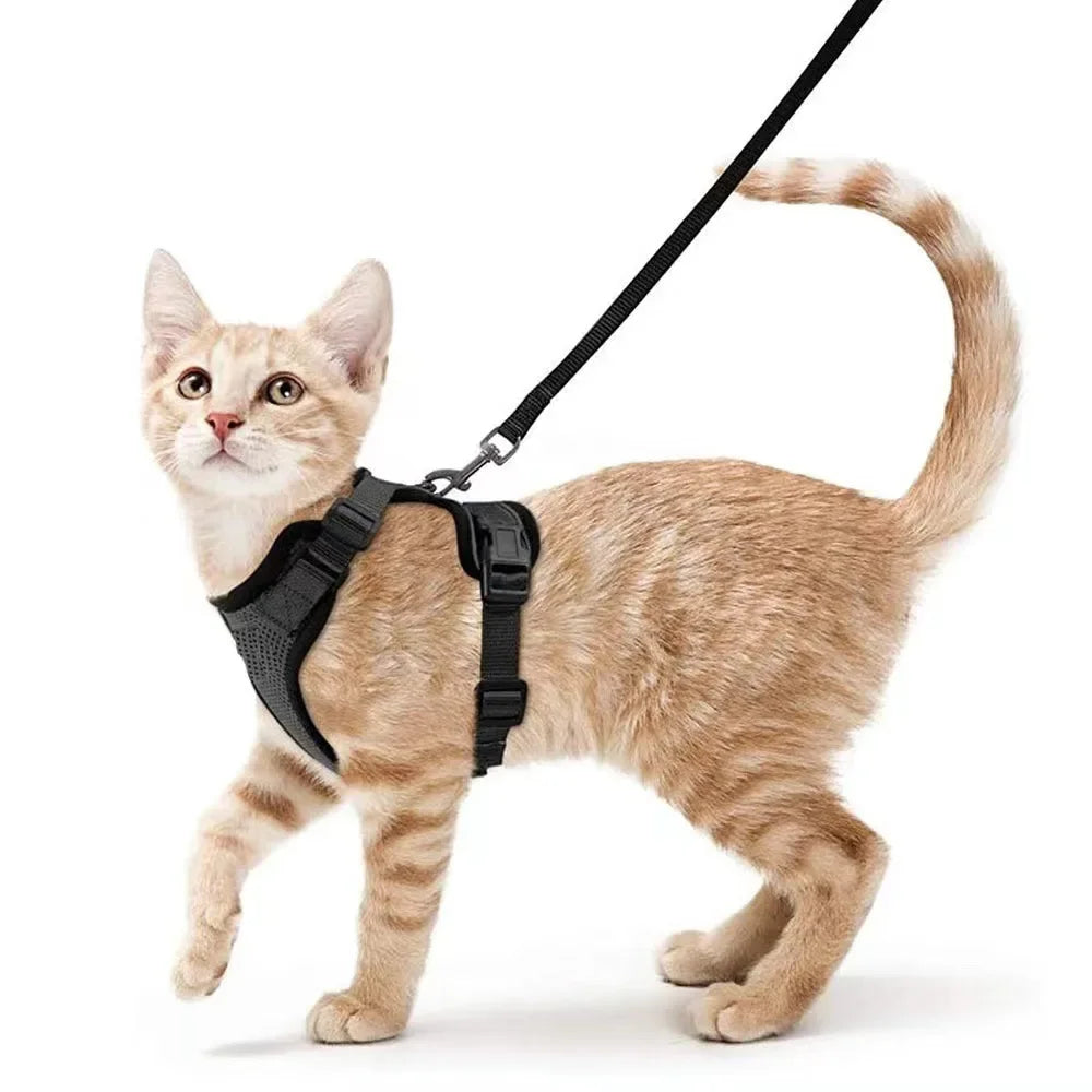 Escape-Proof Adjustable Cat Harness & Leash Set – Soft, Breathable Vest with Reflective Strips for Safe Walks