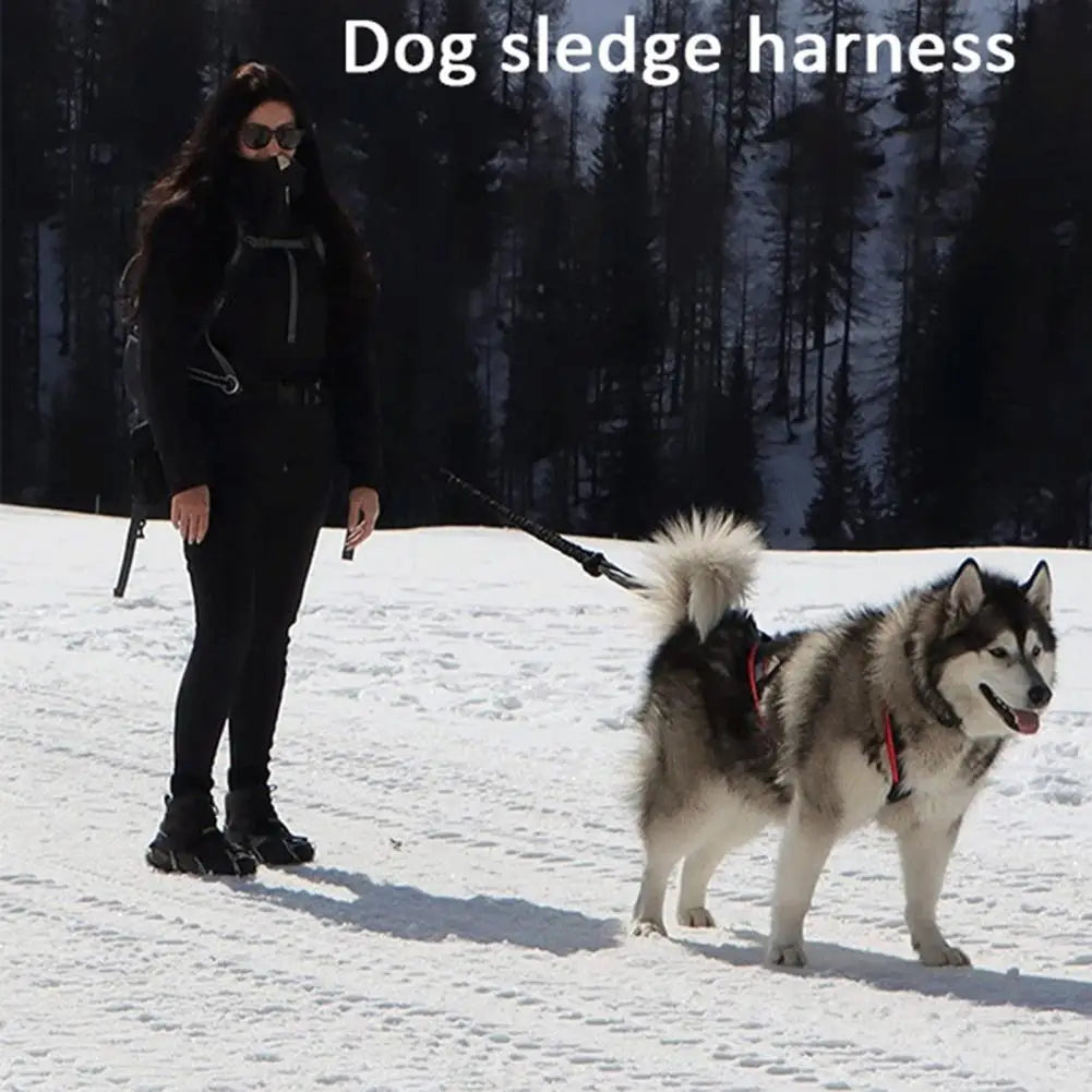 Thickened Chest Pet Harness Double Dog Harness Adjustable Reflective Pet Harness for Night Walking Weight for Outdoor