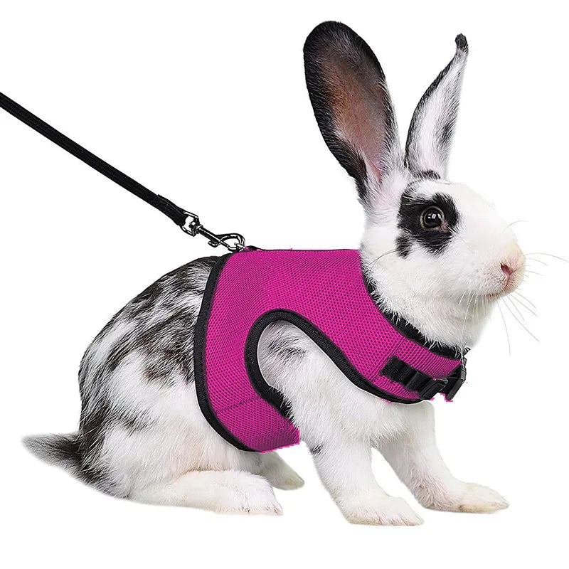 Summer Guinea Pig Hamster Ferret Leash Breathable Mesh Rabbit Pet Harness Bunny Accessories for Cats Cosas Para Animales Reales
