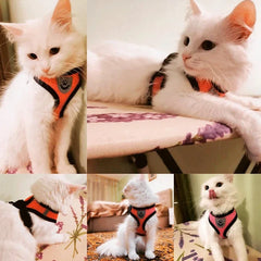 Adjustable Cat & Dog Harness Vest – Mesh Walking Leash for Small & Medium Pets