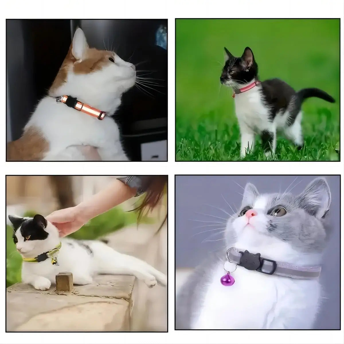 2PC Reflective Pet Collar Set – Cat & Dog Paw Print Anti-Lost Collars