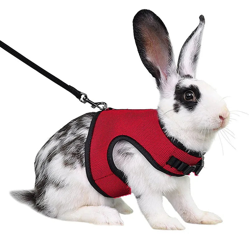 Summer Guinea Pig Hamster Ferret Leash Breathable Mesh Rabbit Pet Harness Bunny Accessories for Cats Cosas Para Animales Reales