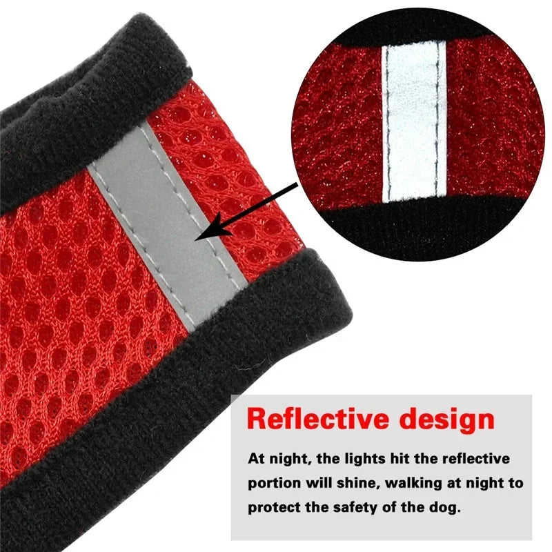 Adjustable Cat & Dog Harness Vest – Mesh Walking Leash for Small & Medium Pets