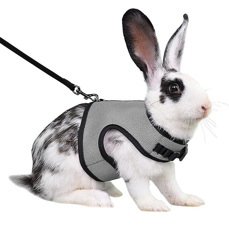 Summer Guinea Pig Hamster Ferret Leash Breathable Mesh Rabbit Pet Harness Bunny Accessories for Cats Cosas Para Animales Reales