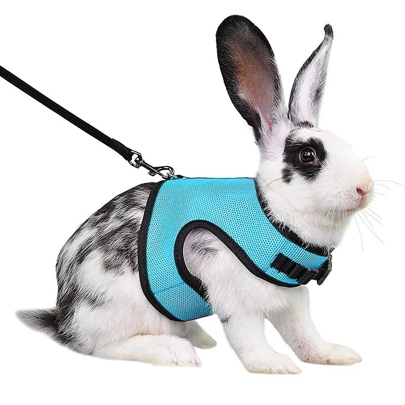 Summer Guinea Pig Hamster Ferret Leash Breathable Mesh Rabbit Pet Harness Bunny Accessories for Cats Cosas Para Animales Reales