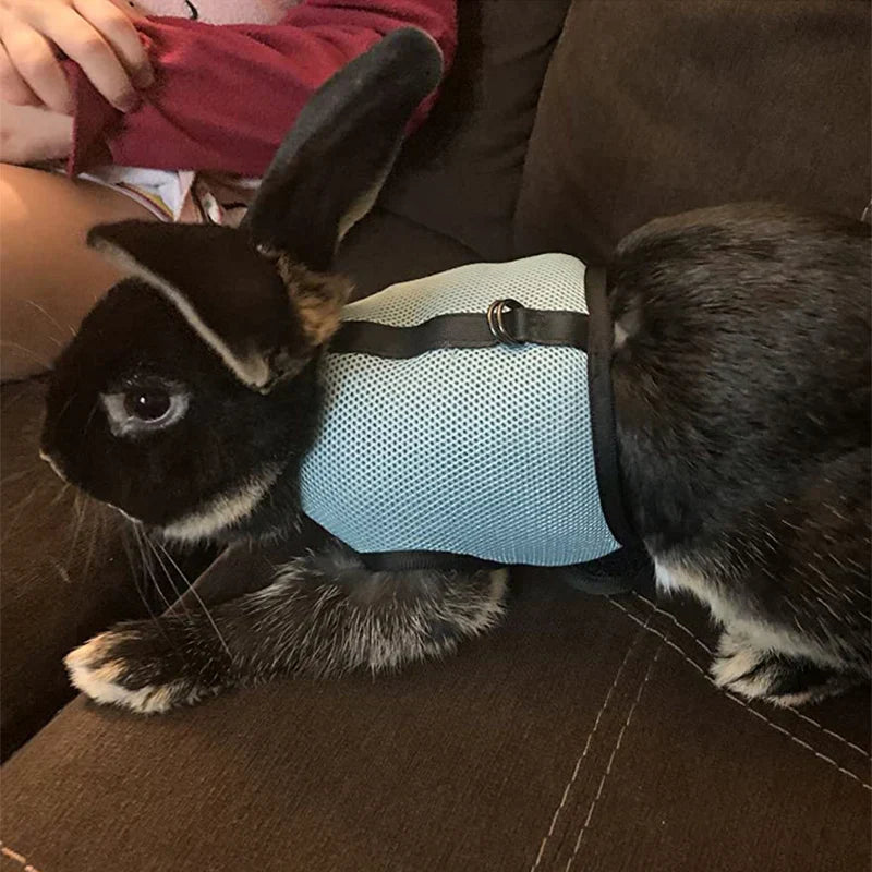 Summer Guinea Pig Hamster Ferret Leash Breathable Mesh Rabbit Pet Harness Bunny Accessories for Cats Cosas Para Animales Reales