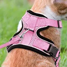 Escape-Proof Adjustable Cat Harness & Leash Set – Soft, Breathable Vest with Reflective Strips for Safe Walks