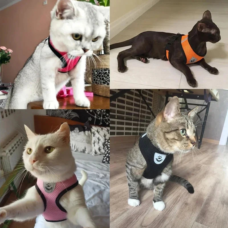 Adjustable Cat & Dog Harness Vest – Mesh Walking Leash for Small & Medium Pets
