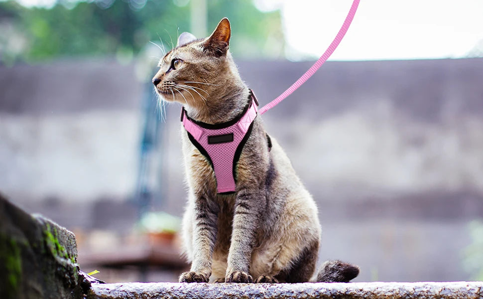 Escape-Proof Adjustable Cat Harness & Leash Set – Soft, Breathable Vest with Reflective Strips for Safe Walks