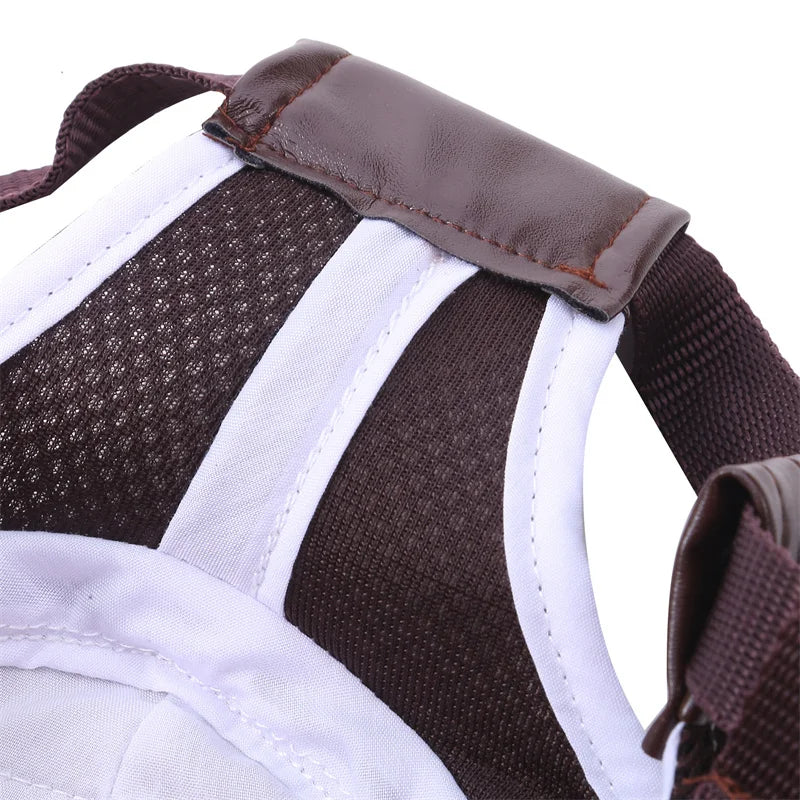 Adjustable Dog Sunscreen Baseball Cap – Outdoor Hat with Ear Holes for Small to Large Dogs