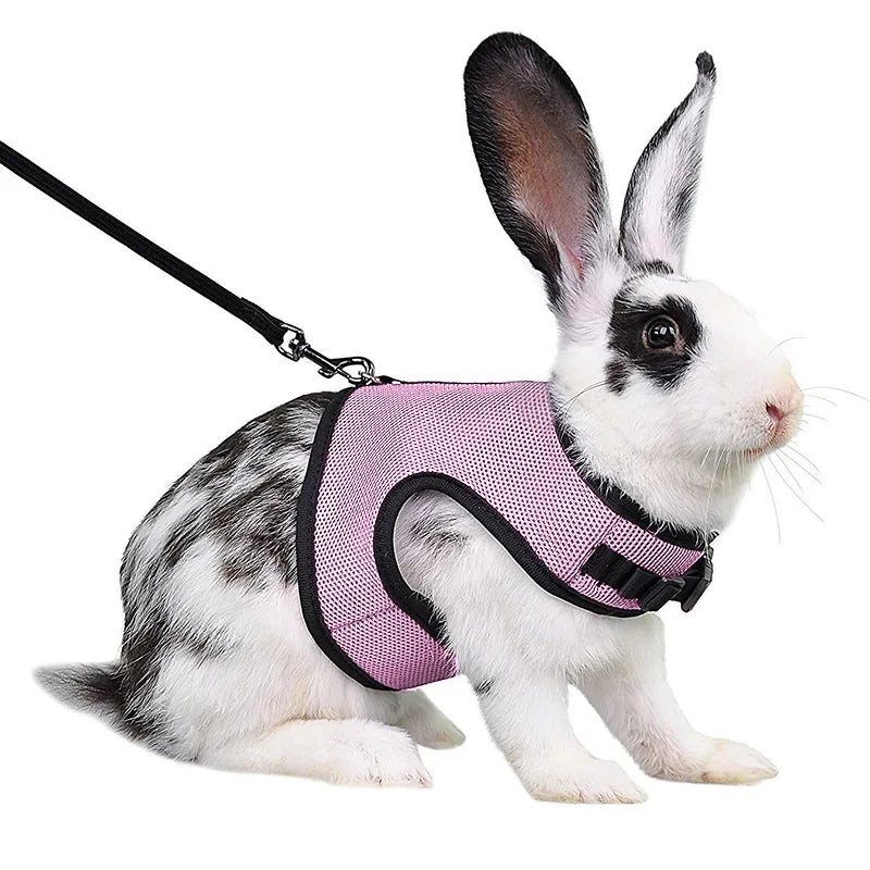 Summer Guinea Pig Hamster Ferret Leash Breathable Mesh Rabbit Pet Harness Bunny Accessories for Cats Cosas Para Animales Reales