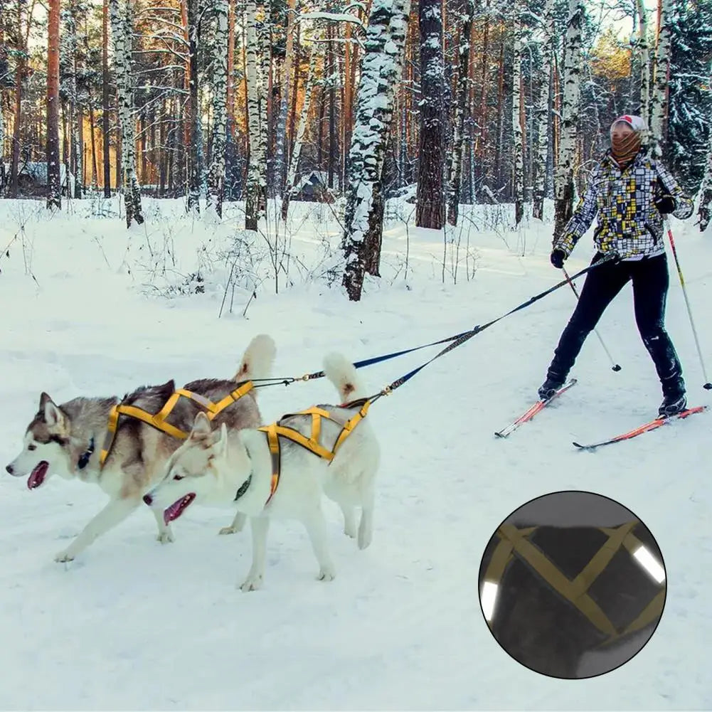 Thickened Chest Pet Harness Double Dog Harness Adjustable Reflective Pet Harness for Night Walking Weight for Outdoor